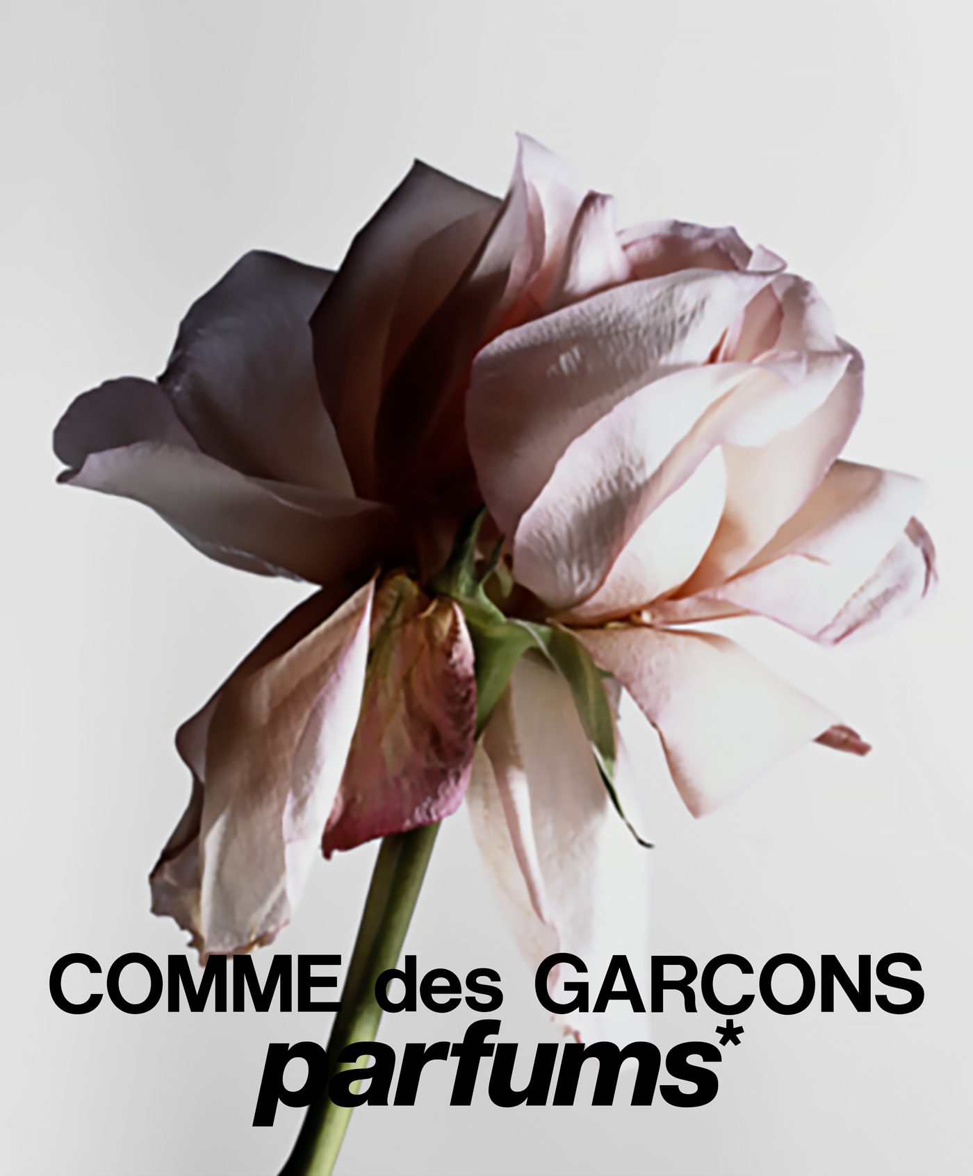 2/Comme des Garçons – Art direction consulting 02