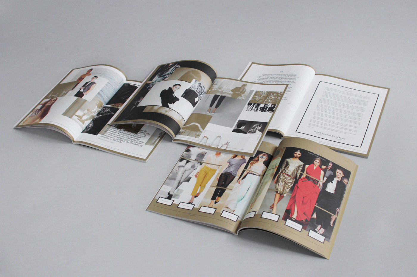 Danish Fashion Institute – Annual report 2011