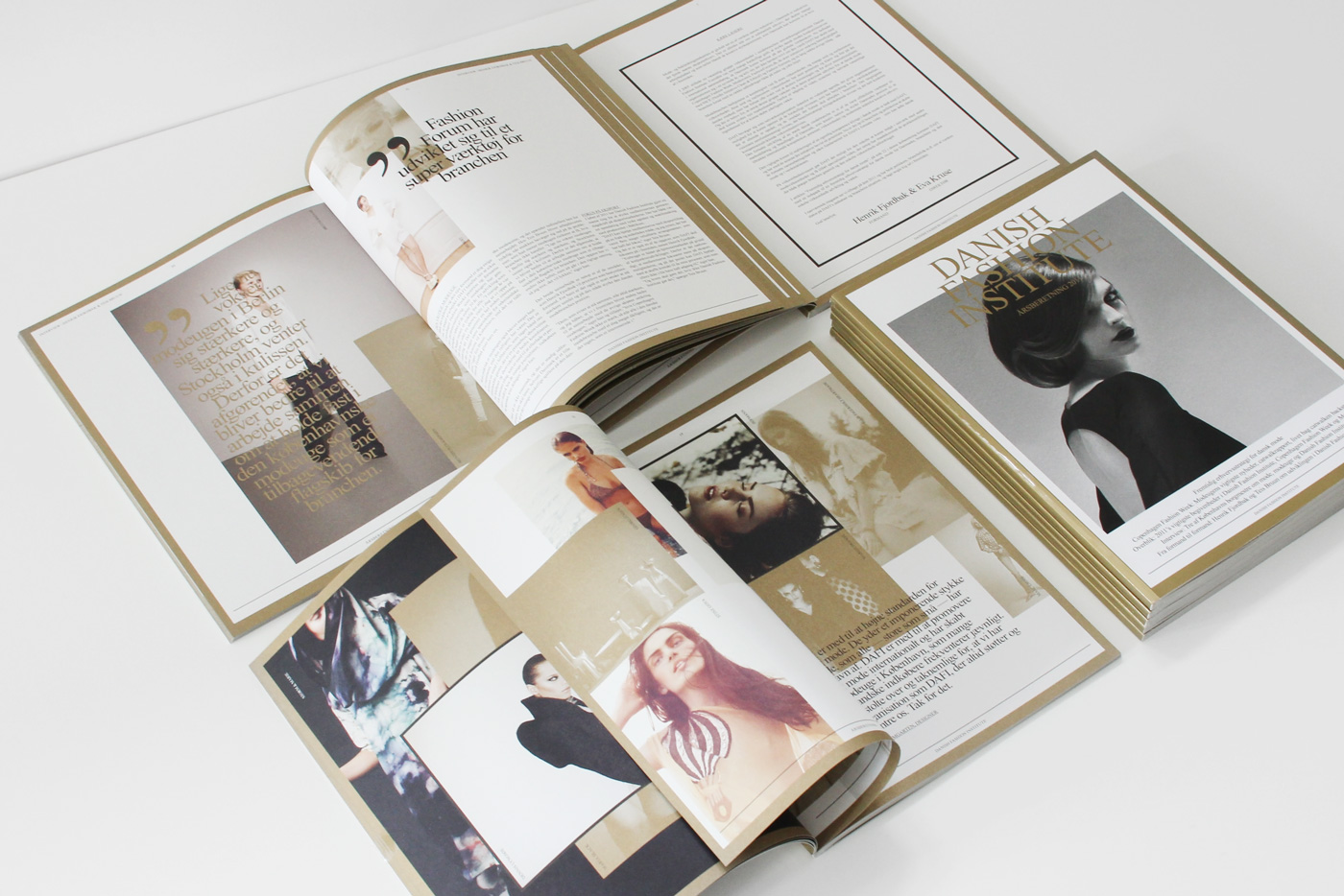 Danish Fashion Institute – Annual report 2011
