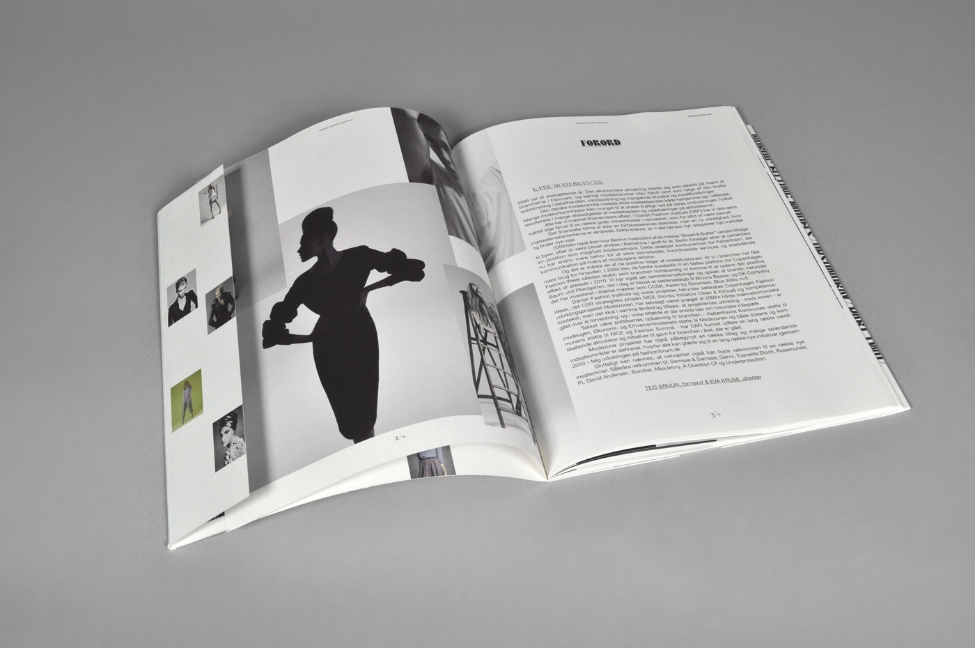 Danish Fashion Institute – Annual report 2009