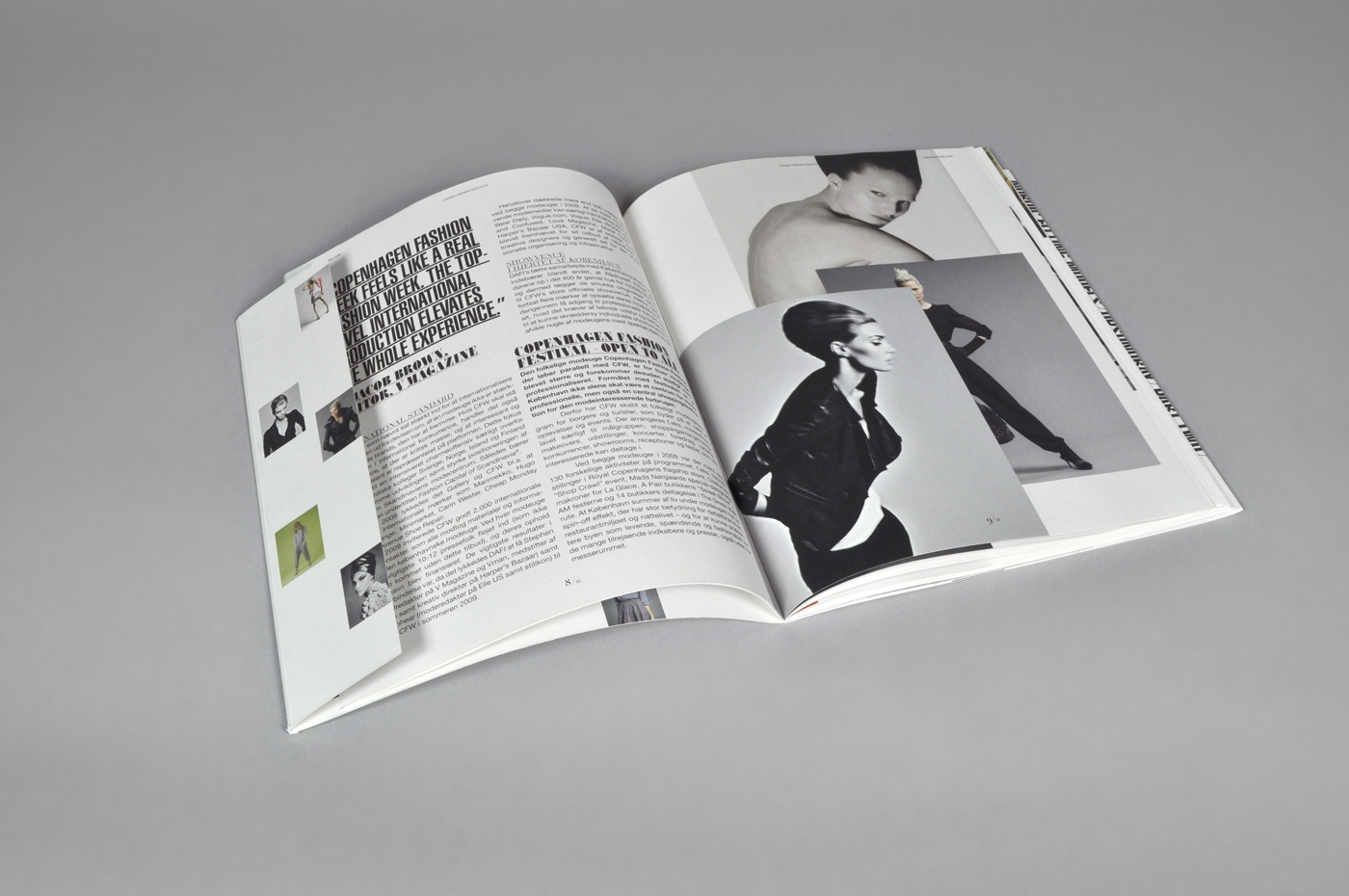 Danish Fashion Institute – Annual report 2009