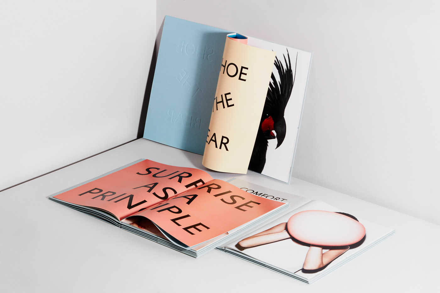 Shoe the Bear – Brand book